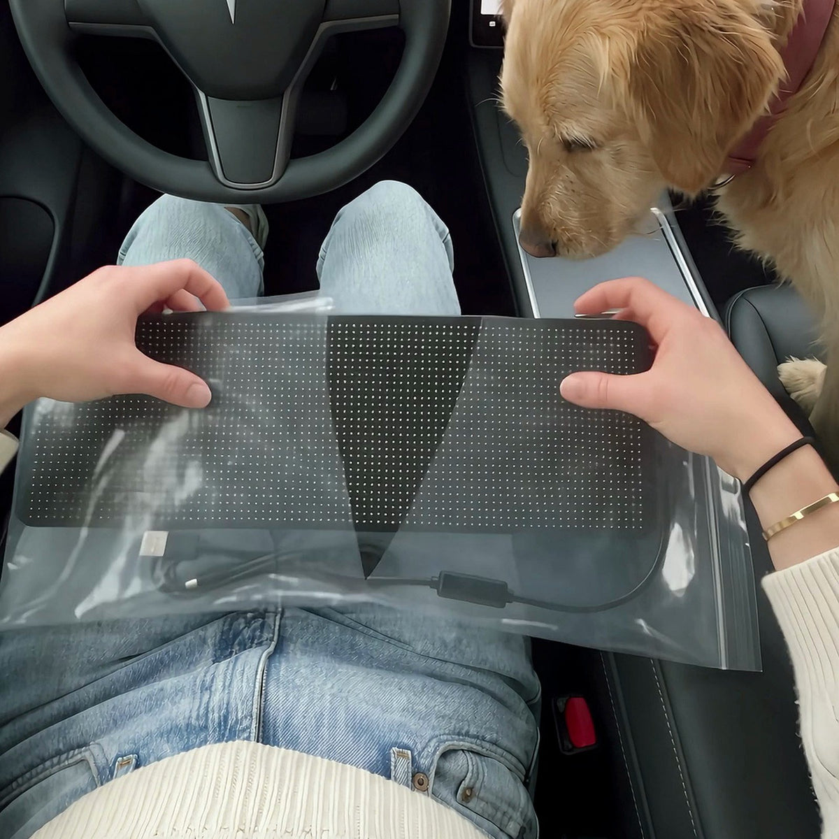 FUR MAMA GLOW LED Back Window Panel